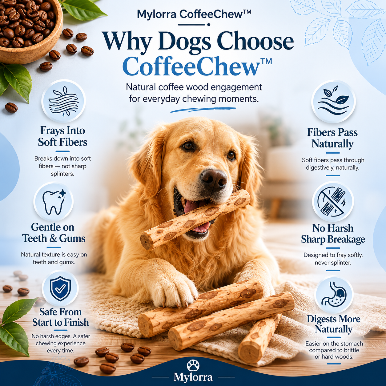 Mylorra CoffeeChew™