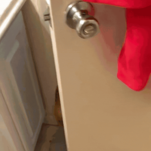 SoftShield Door Handle Protector