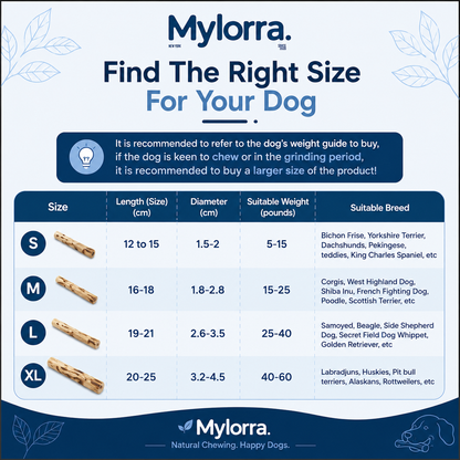 Mylorra CoffeeChew™